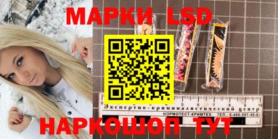 стаф Моздок
