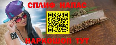 стаф Моздок