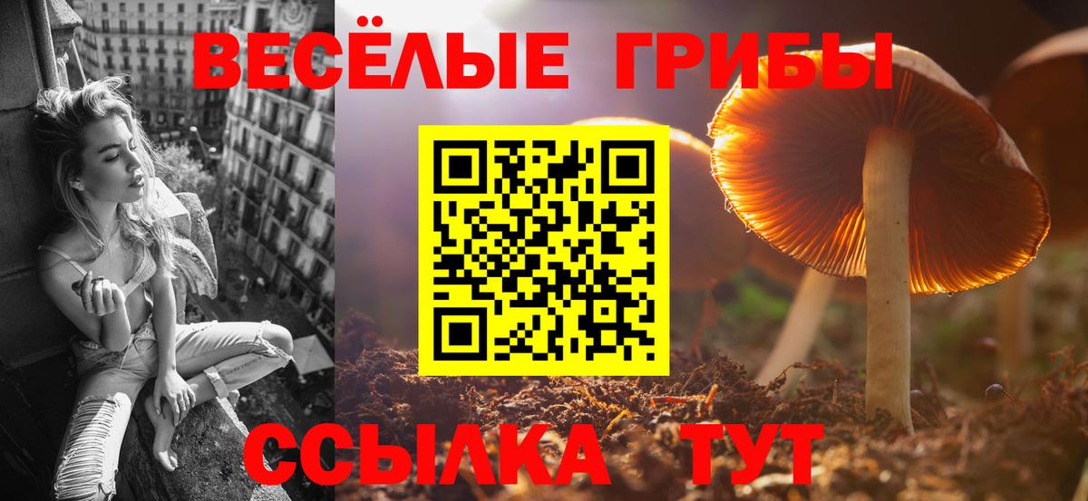 Псилоцибиновые грибы ЛСД  Вход с VPN  Галлюциногенные грибы Psilocybe  Сергиев Посад 