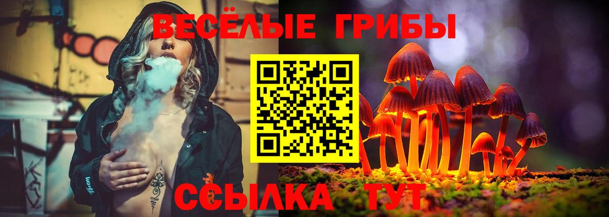 Галлюциногенные грибы GOLDEN TEACHER Сергиев Посад